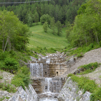 DSC 0064
