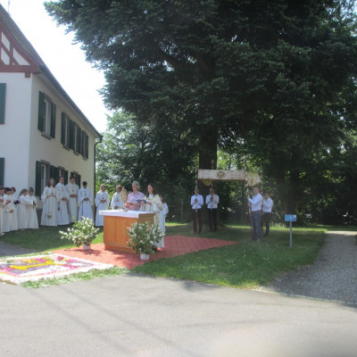 IMG 4933