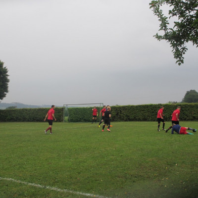 IMG 7461
