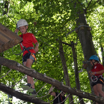 DSC 0219